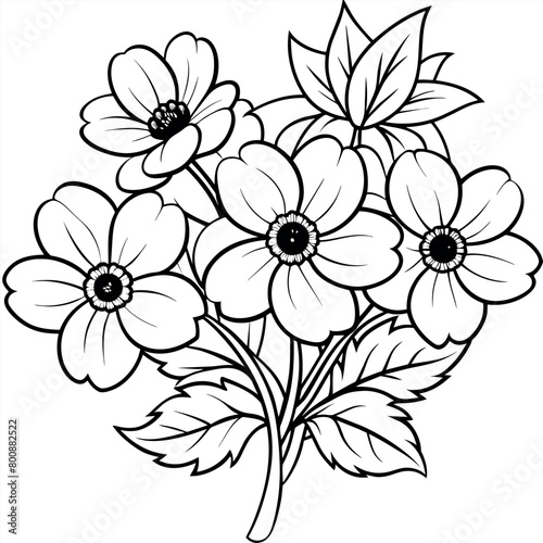 Anemone Flower  Bouquet outline illustration coloring book page design  Anemone Flower  Bouquet black and white line art drawing coloring book pages for children and adults