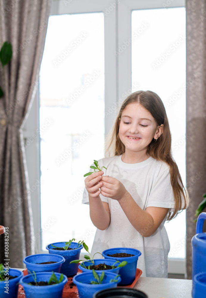 Girl study to plant seedlings for gardening at home. Spring season of gardening Girl study to plant seedlings for gardening at home. Spring season of gardening