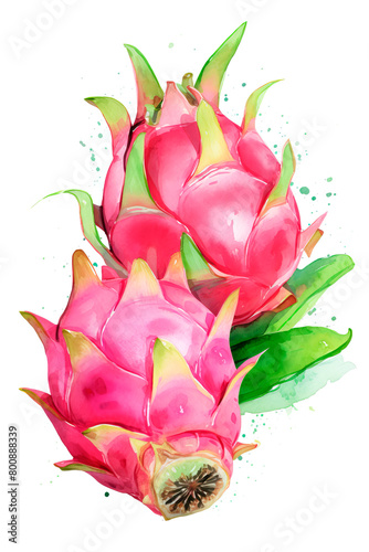 Dragon fruit or pitahaya on a white background close-up. Tropical fruits. Watercolor illustration. 