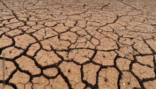 The Fresh Scent Of Raindrops Hitting The Dry Earth