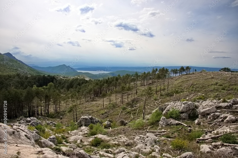 Mediterranean mountain landscape with downed trees