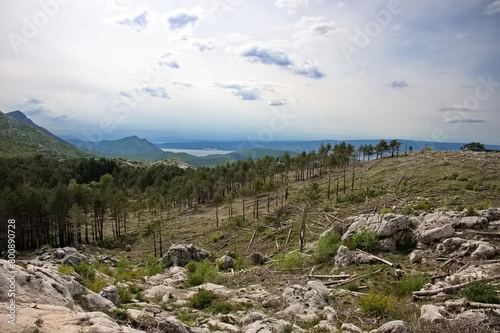 Mediterranean mountain landscape with downed trees