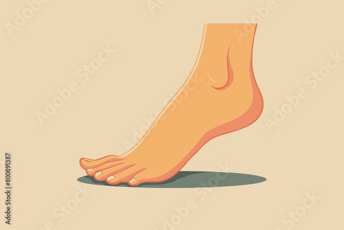 a simple flat illustration of an Foot, vector graphics