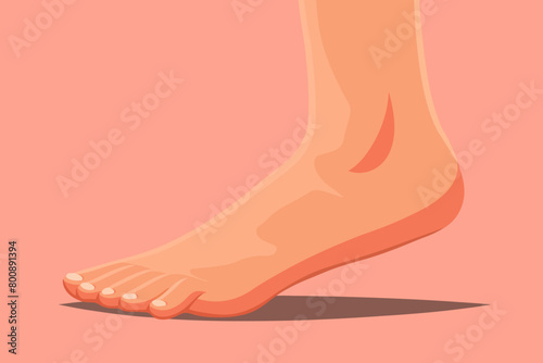 a simple flat illustration of an Foot, vector graphics