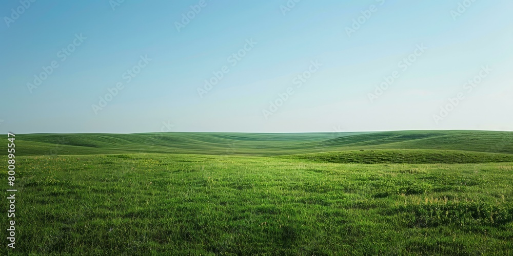 Green rolling hills under blue sky