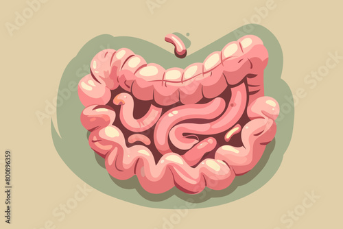 a simple flat illustration of an Intestines, vector graphics