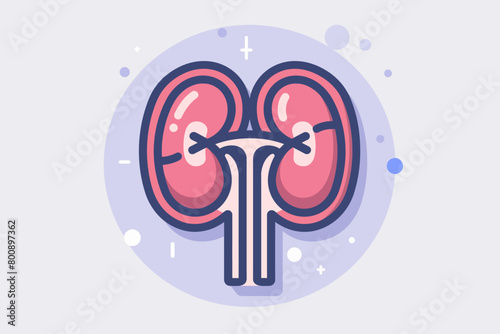 a simple flat illustration of an Kidneys, vector graphics