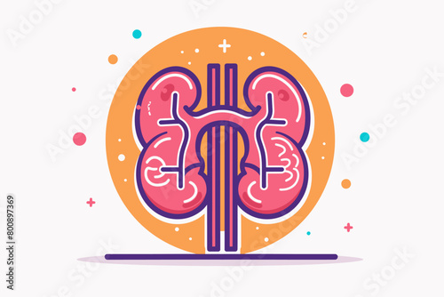 a simple flat illustration of an Kidneys, vector graphics