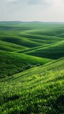 Picturesque green hills under the blue sky
