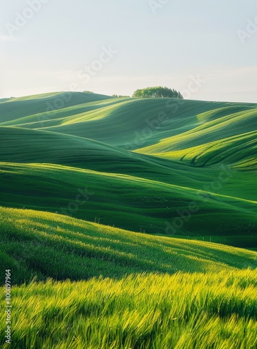 Green rolling hills of Tuscany  Italy