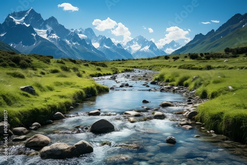 Beautiful Mountain River Landscape with Green Grass and Snow-capped Peaks