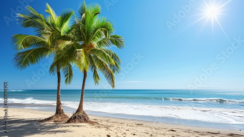 Two palm trees on a beach with bright blue water and white sand under a shining sun