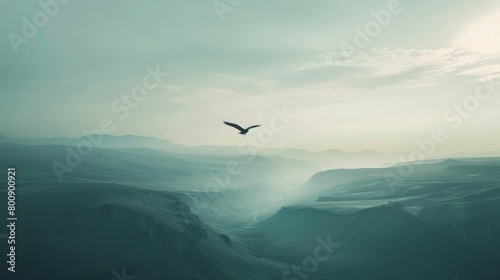 A captivating image of a lone bird soaring high above a vast landscape, symbolizing the search for freedom and perspective on World Schizophrenia Day. photo