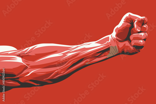 a simple flat illustration of an Muscle, vector graphics