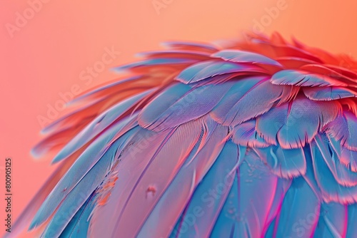 A colorful bird's wing with blue, red, and yellow feathers photo