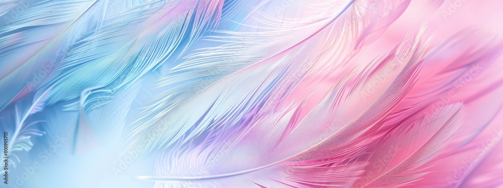 pastel colour feather abstract background.