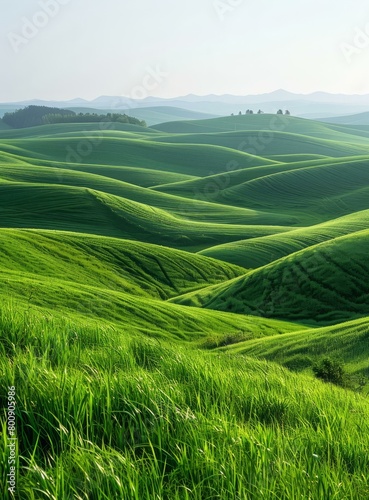 Picturesque green rolling hills under the clear blue sky