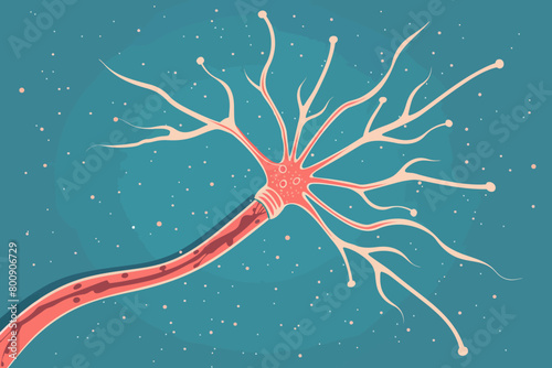 a simple flat illustration of an Nerve, vector graphics