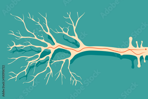 a simple flat illustration of an Nerve, vector graphics