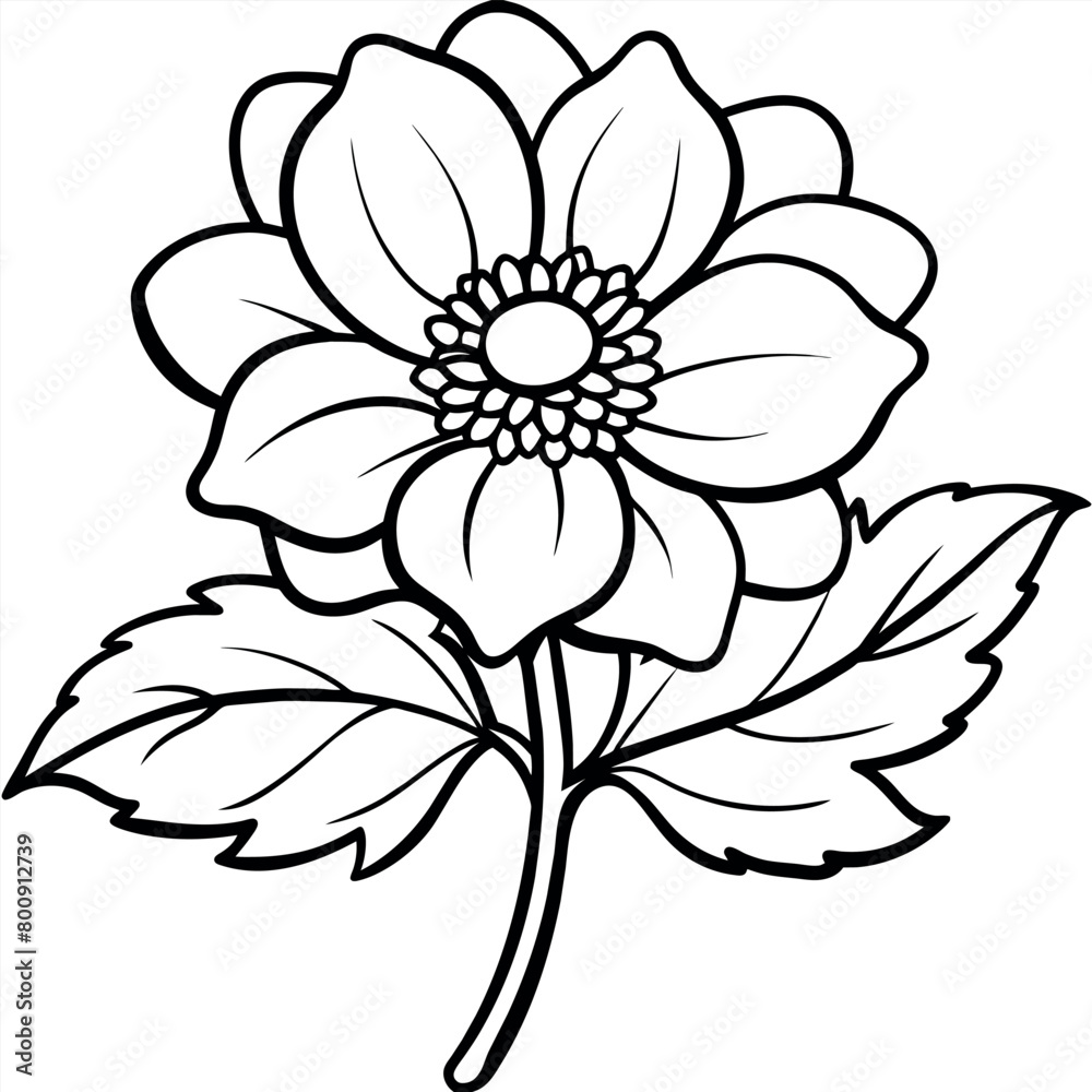 Anemone flower plant outline illustration coloring book page design, Anemone flower plant black and white line art drawing coloring book pages for children and adults Anemone flower plant outline illustration coloring book page design, Anemone flower plant black and white line art drawing coloring book pages for children and adults