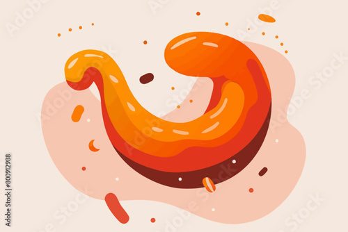 a simple flat illustration of an Stomach, vector graphics
