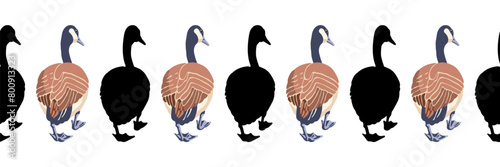 Canada goose. Seamless borders. Pattern of vintage style colored illustration and black silhouettes of birds walking back. Vector illustration of geese on a white background.