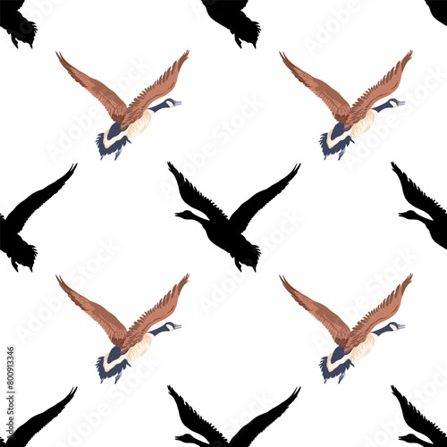 Canada geese. Black silhouettes and the color vintage style flying birds. Seamless pattern. Hand-drawn graphic design. Vector illustration on white background.