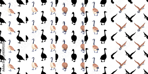 Canada geese. Black silhouettes and color vintage style birds. Set of seamless patterns. Hand-drawn graphic design. Vector illustration on white background.