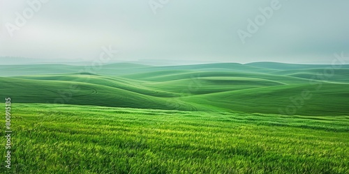 green rolling hills landscape photography