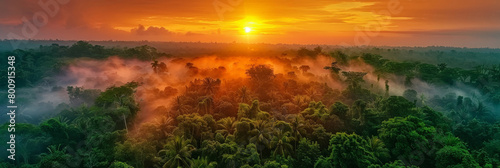 Aerial view of sunrise over a rainforest landscape background