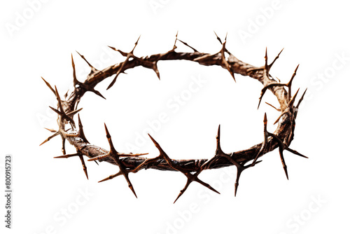 a crown of thorns on a white background