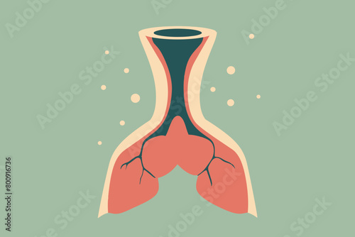 a simple flat illustration of an Thyroid, vector graphics