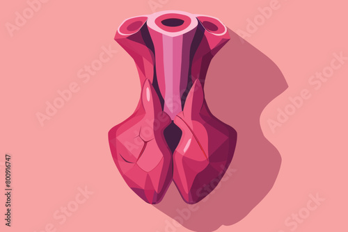 a simple flat illustration of an Thyroid, vector graphics
