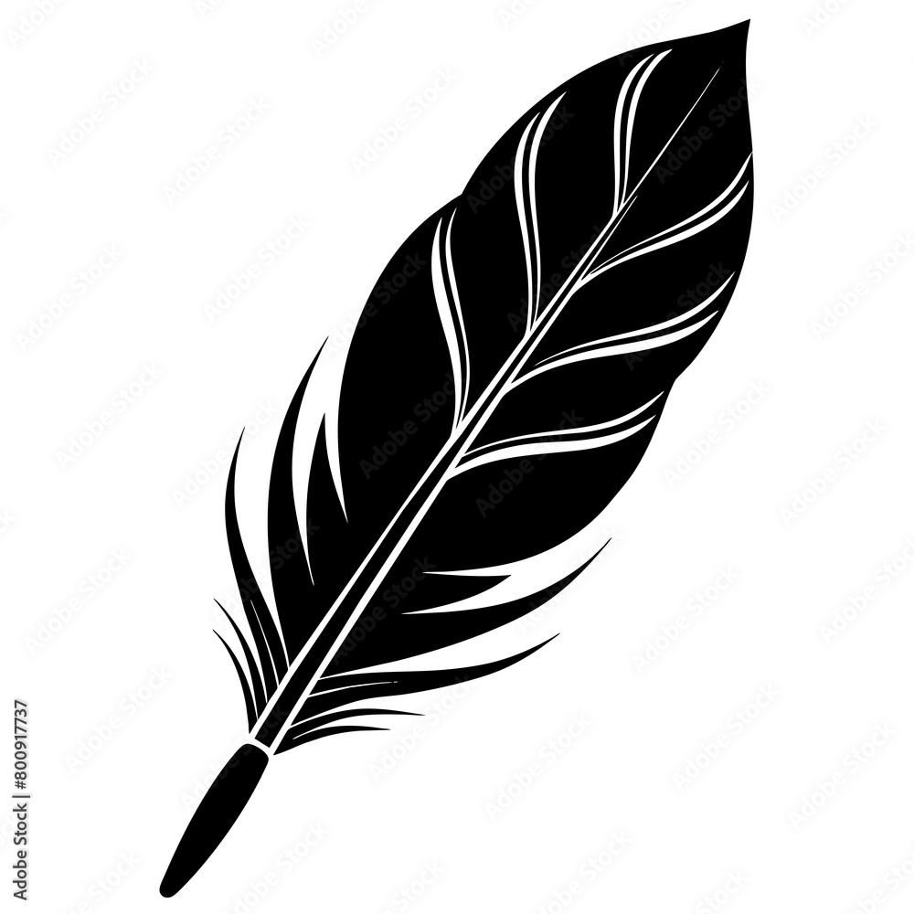 Obraz premium Feather silhouette vector illustration isolated on white background. 