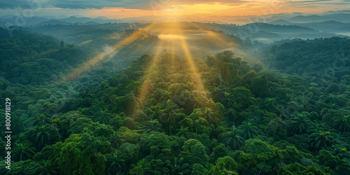 Aerial view of sunrise over a rainforest landscape background