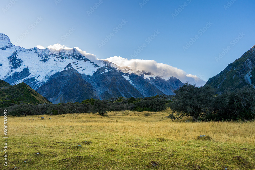 Cloudy snowy mountains in Mount Cook National Park, sunset with yellow grass field