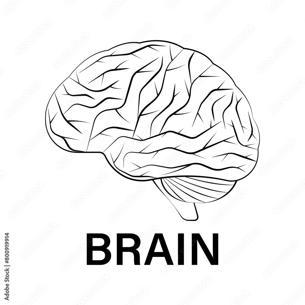 Brain Logo Symbol. Human Brain. Vector Illustration. Brain Logo Symbol. Human Brain. Vector Illustration.