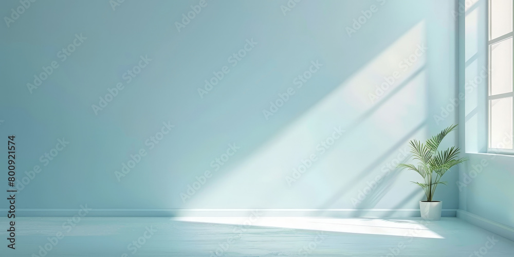empty room with blue wall and floor with sunlight from the window. Interior background for the presentation. empty blue room empty room with blue wall and floor with sunlight from the window. Interior background for the presentation. empty blue room
