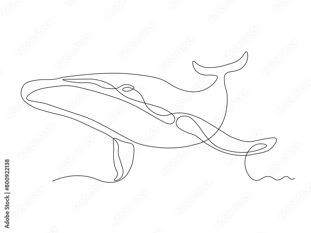 whale,Logo, continuous single line art hand drawing sketch whale,Logo, continuous single line art hand drawing sketch