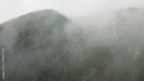 Foggy Clouds Over Fir Forests Near Olympic National Park, Washington State, United States. Aerial Shot photo