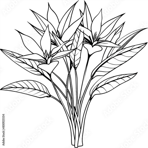 Bird of Paradise Flower Bouquet outline illustration coloring book page design, Bird of Paradise Flower Bouquet black and white line art drawing coloring book pages for children and adults