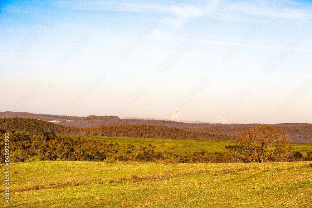 Landscape. Green meadows and forest. Cloudy blue sky. No people, nobody.