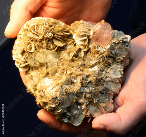 Woman hands holding yellow mineral siderite crystal cluster photo