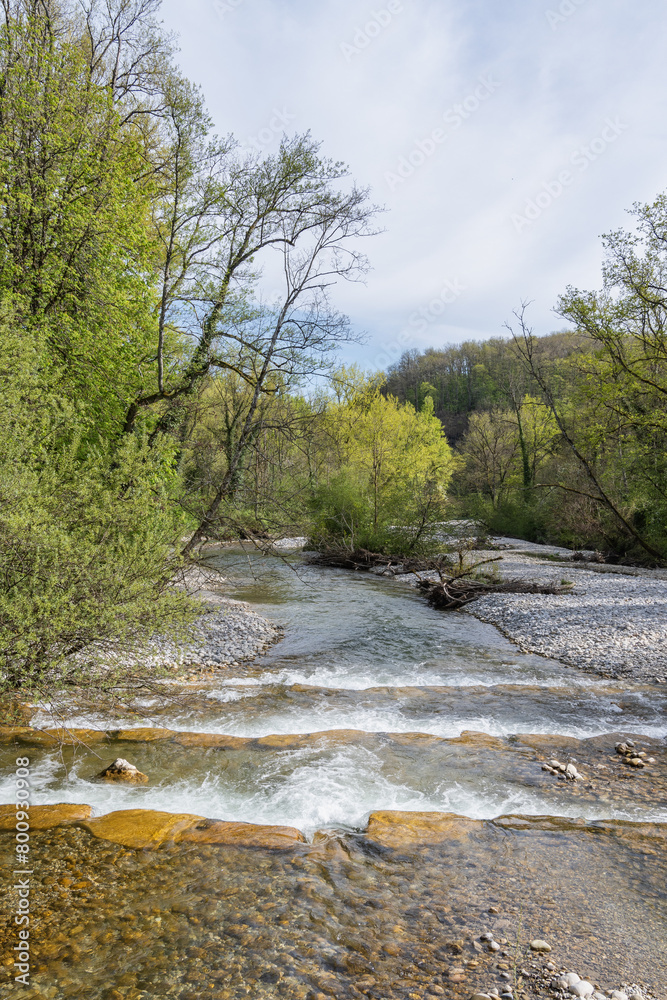 L'Allondon rivière sauvage et naturel juste avant l'embouchure du Rhône L'Allondon rivière sauvage et naturel juste avant l'embouchure du Rhône