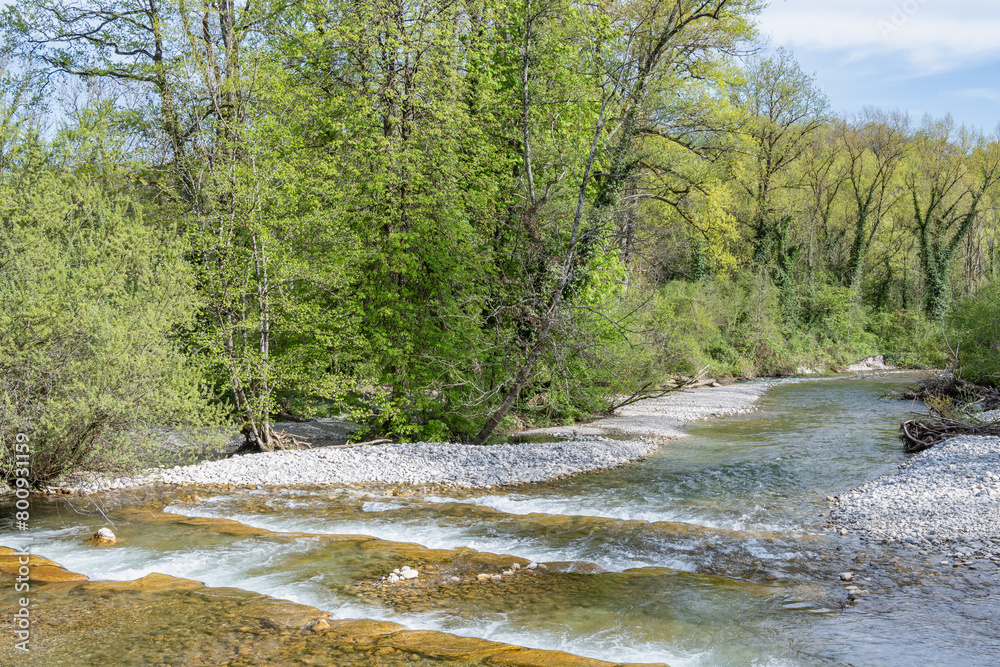 Obraz premium L'Allondon rivière sauvage et naturel juste avant l'embouchure du Rhône