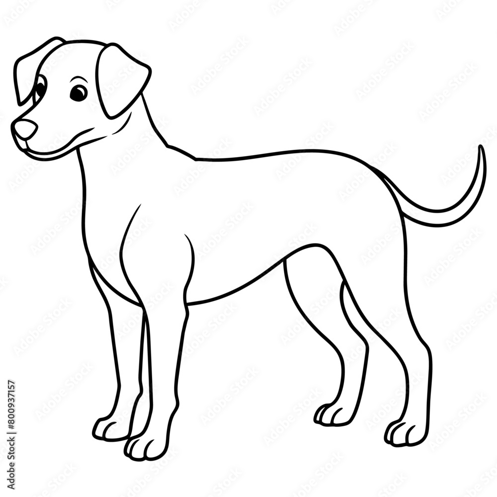 Dog Coloring Book Vector Art illustration (83)