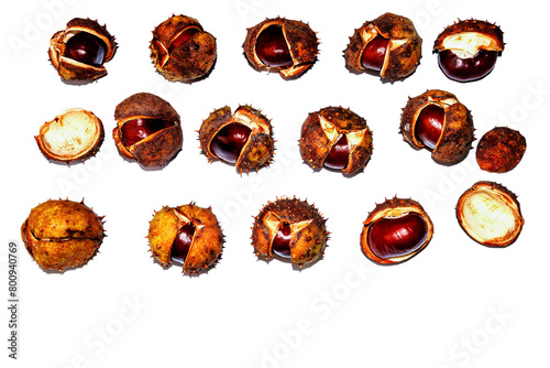chestnuts in shell on a white background