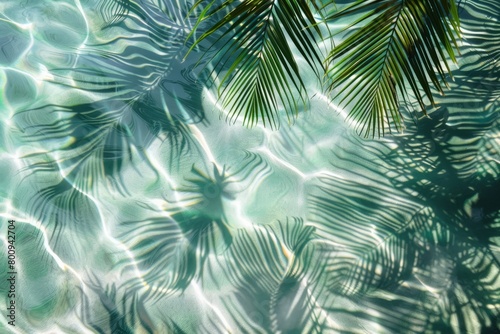 Palm leaves shadow on the water surface.