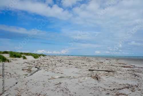 Grass on the sand of beach dunes under a blue sky