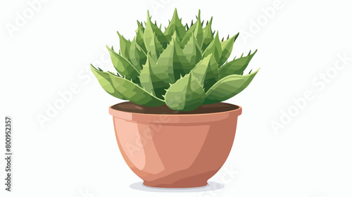 Succulent plant in pot on white background Vector style